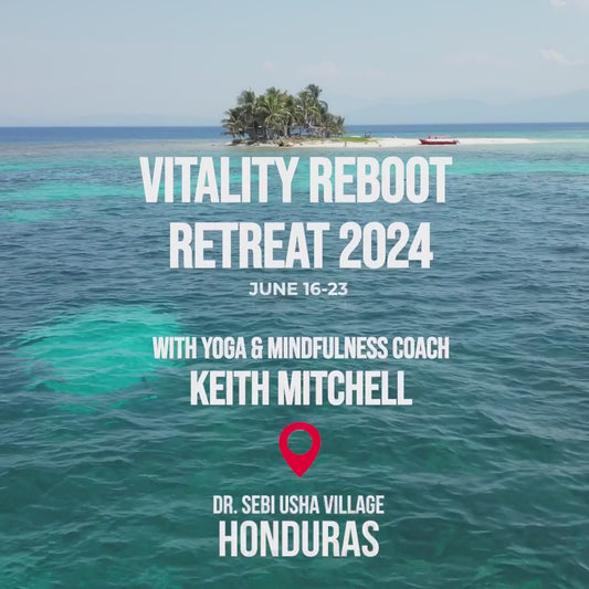 Vitality Reboot Retreat 2024 at Dr. Sebi Usha village